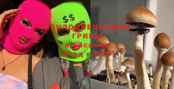 мет Вяземский
