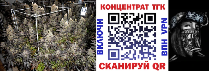 Купить закладки  Великие Луки  Дистиллят ТГК Wax 
