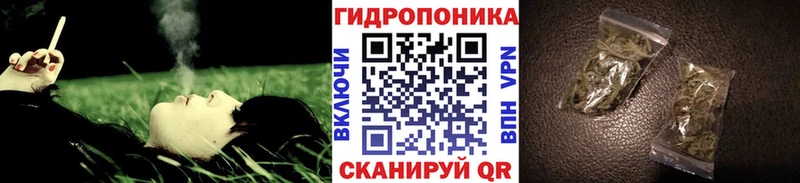 Конопля сатива  Купить  Великие Луки 